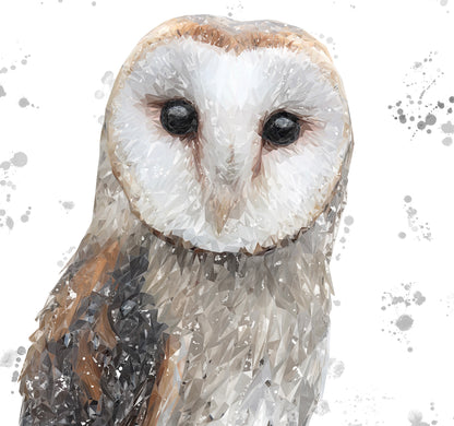 "Whisper" The Barn Owl (Grey Background) Kitchen Splashback