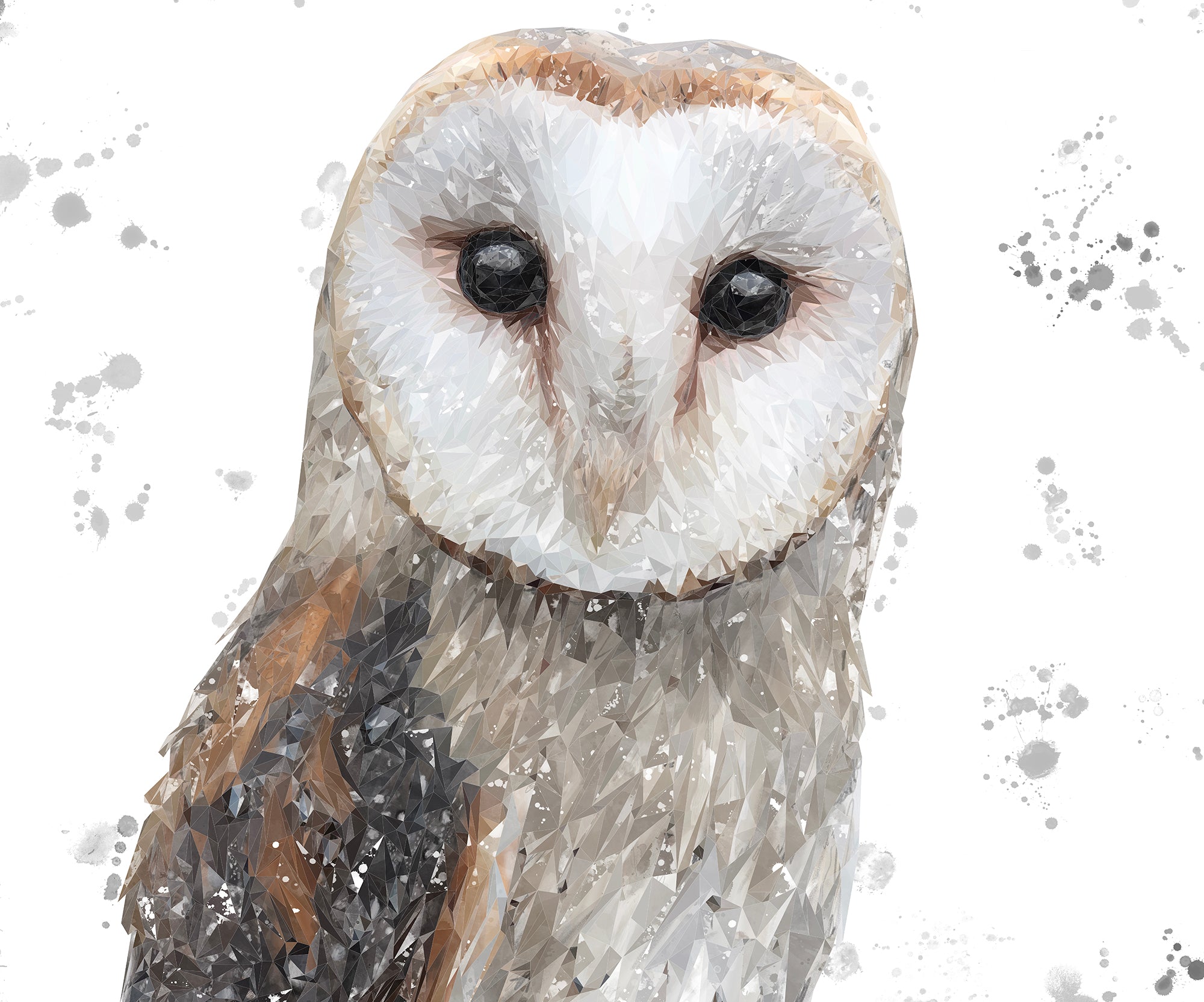 "Whisper" The Barn Owl (Grey Background) Kitchen Splashback