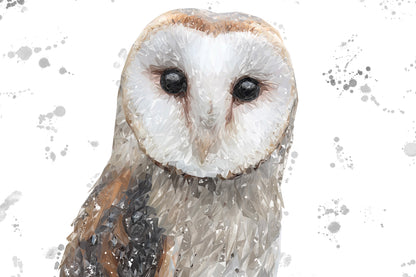 "Whisper" The Barn Owl (Grey Background) Kitchen Splashback