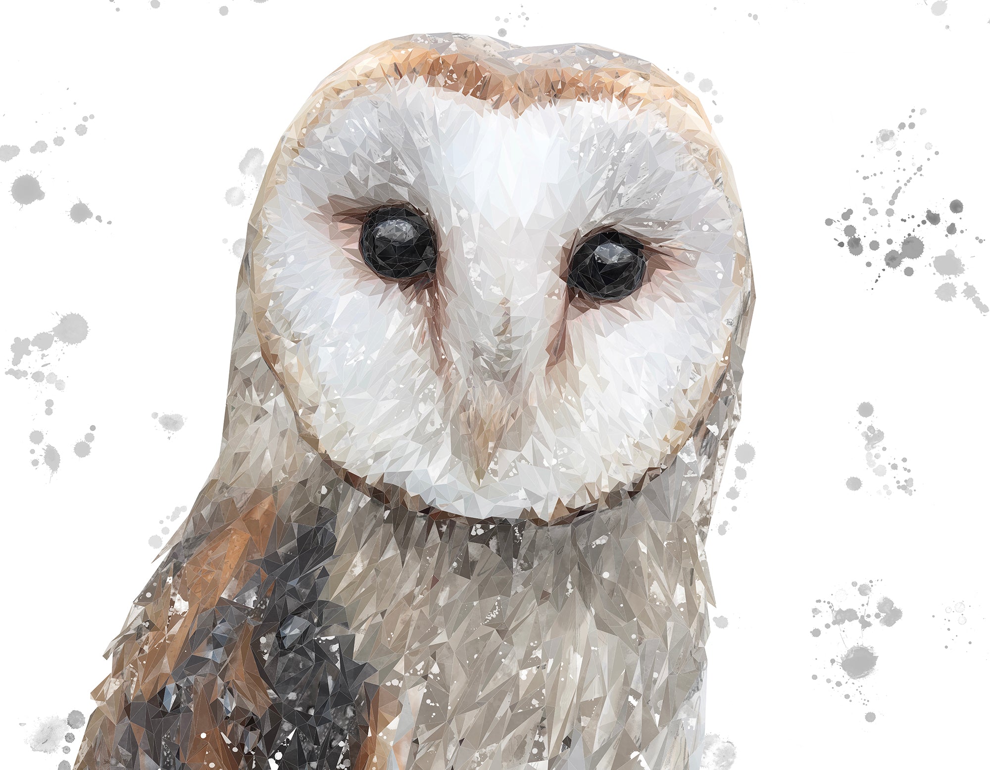 "Whisper" The Barn Owl (Grey Background) Kitchen Splashback