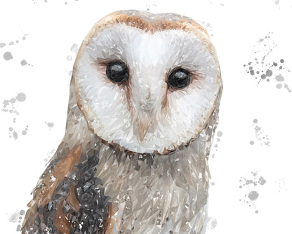 "Whisper" The Barn Owl (Grey Background) Kitchen Splashback