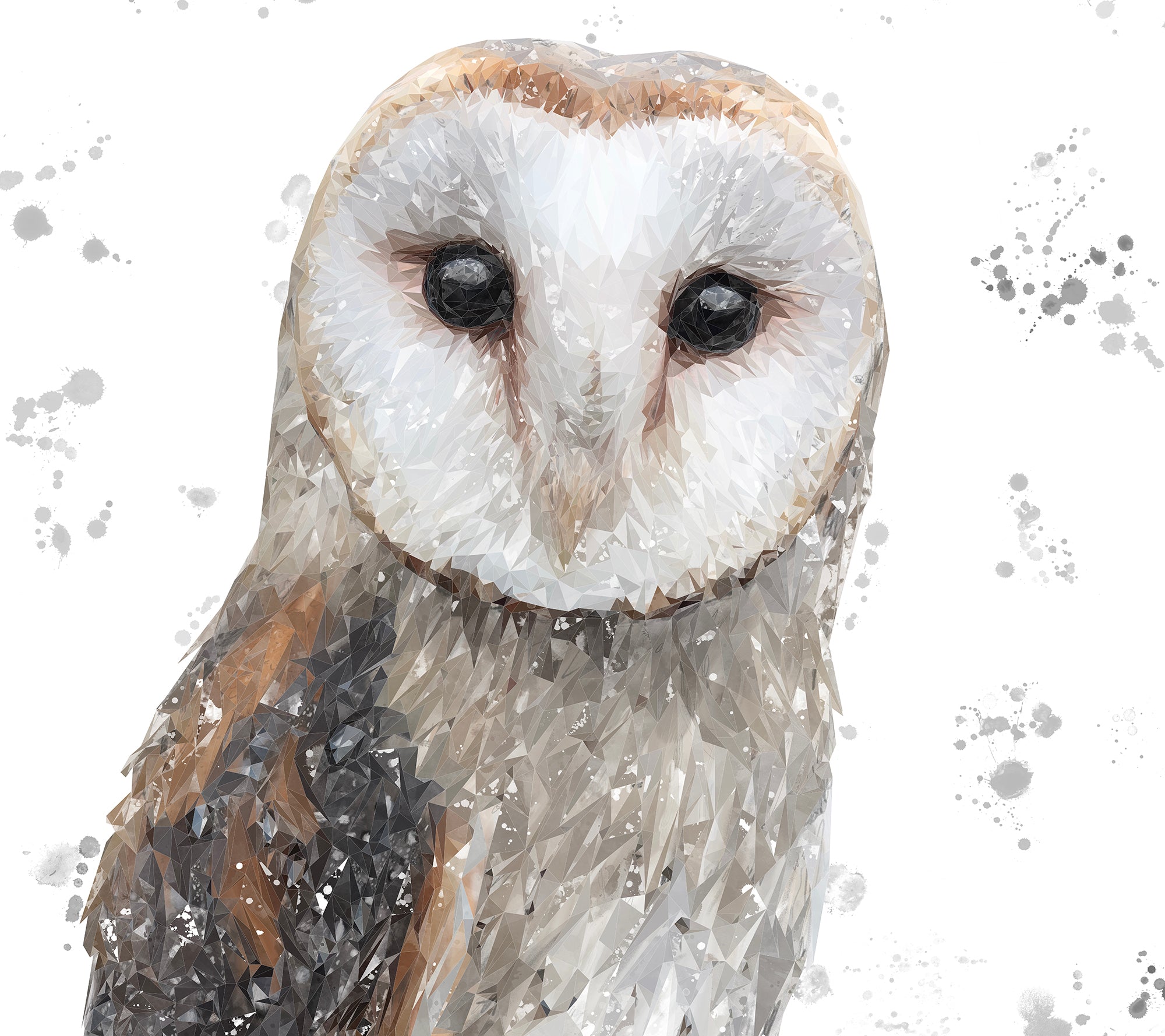 "Whisper" The Barn Owl (Grey Background) Kitchen Splashback