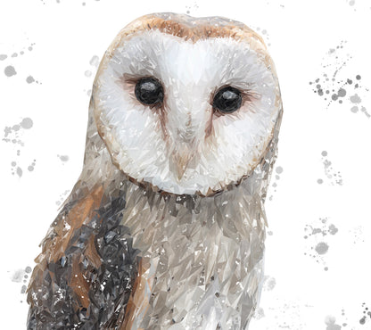 "Whisper" The Barn Owl (Grey Background) Kitchen Splashback