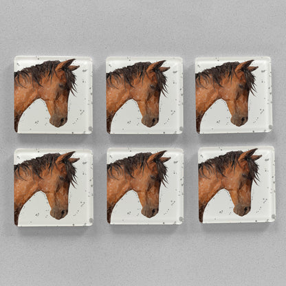"Duke" Grey Background Premium Glass Coasters