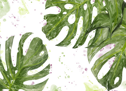 NEW! "Tranquillity" Monstera Plant Kitchen Splashback