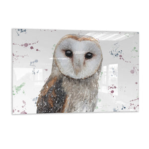 "Whisper" The Barn Owl Glass Wall Art