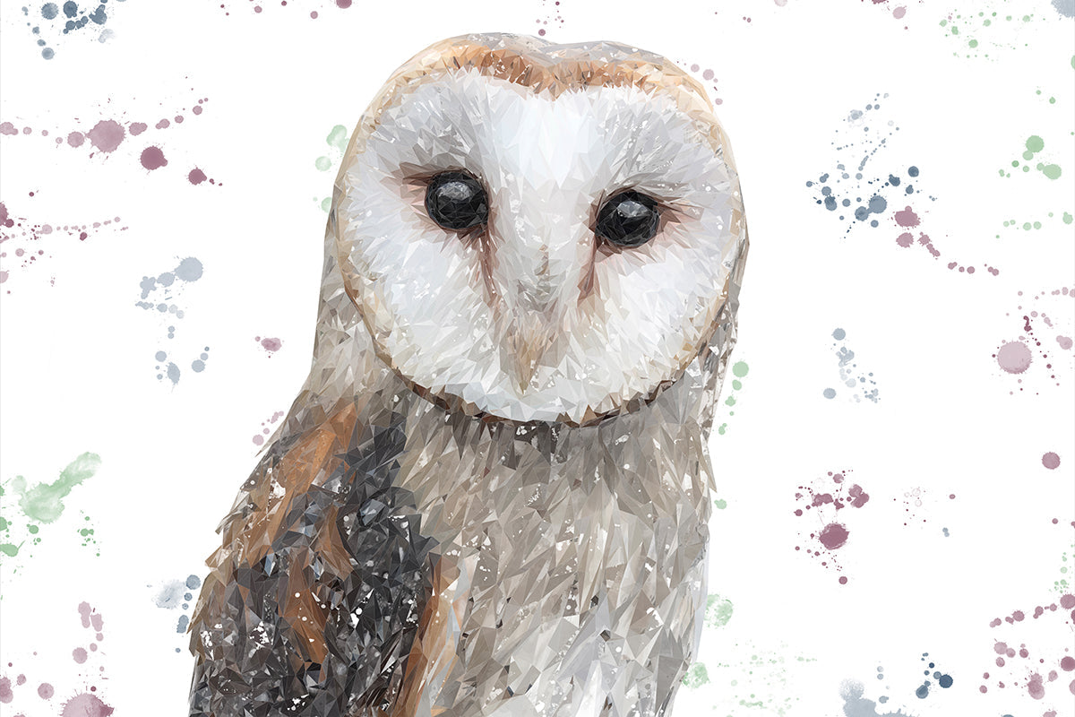 "Whisper" The Barn Owl Glass Wall Art