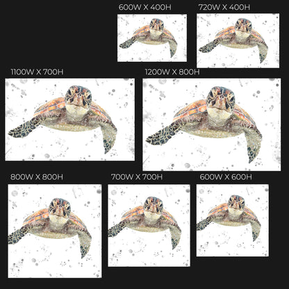 NEW! "Drift" The Sea Turtle (Grey Background) Glass Wall Art