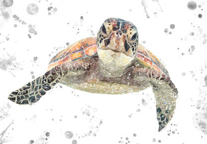 NEW! "Drift" The Sea Turtle (Grey Background) Kitchen Splashback - Andy Thomas Artworks