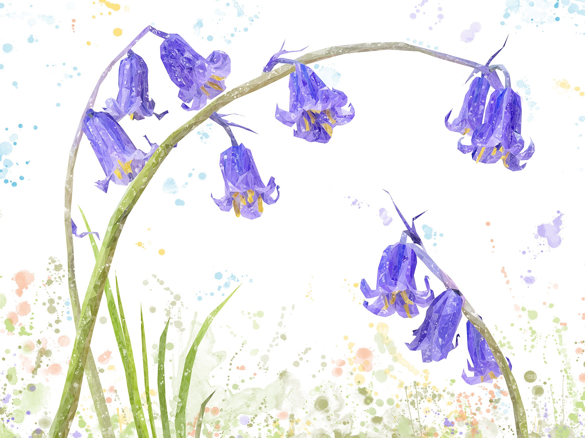 "Bluebells" The Bluebells Canvas Print