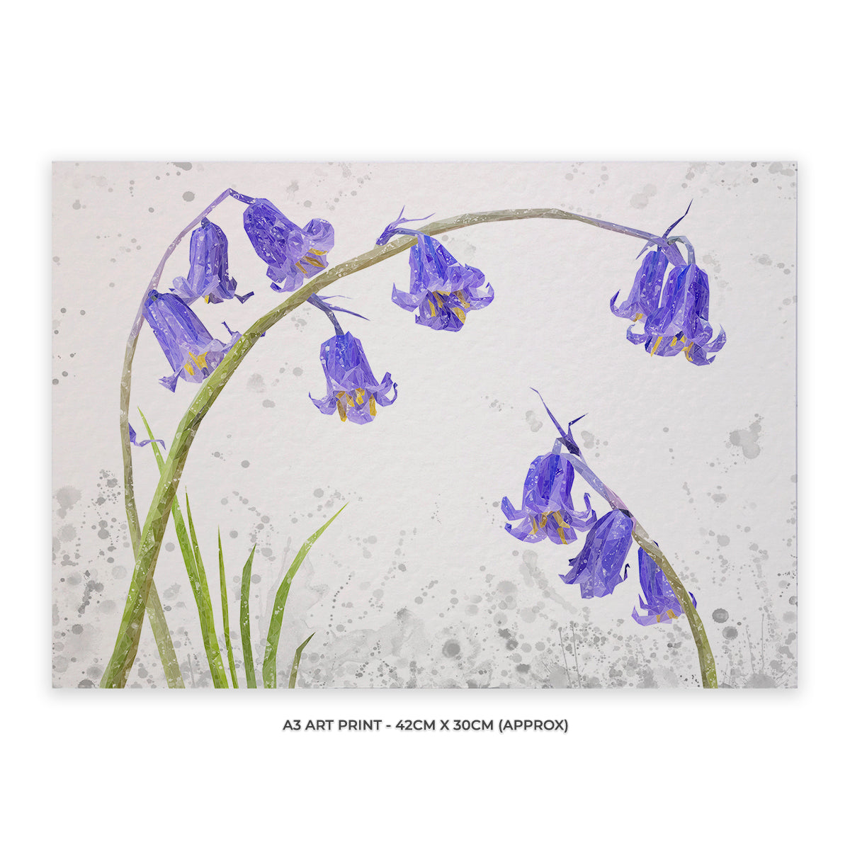 NEW! "Bluebells" Grey Background A3 Unframed Art Print