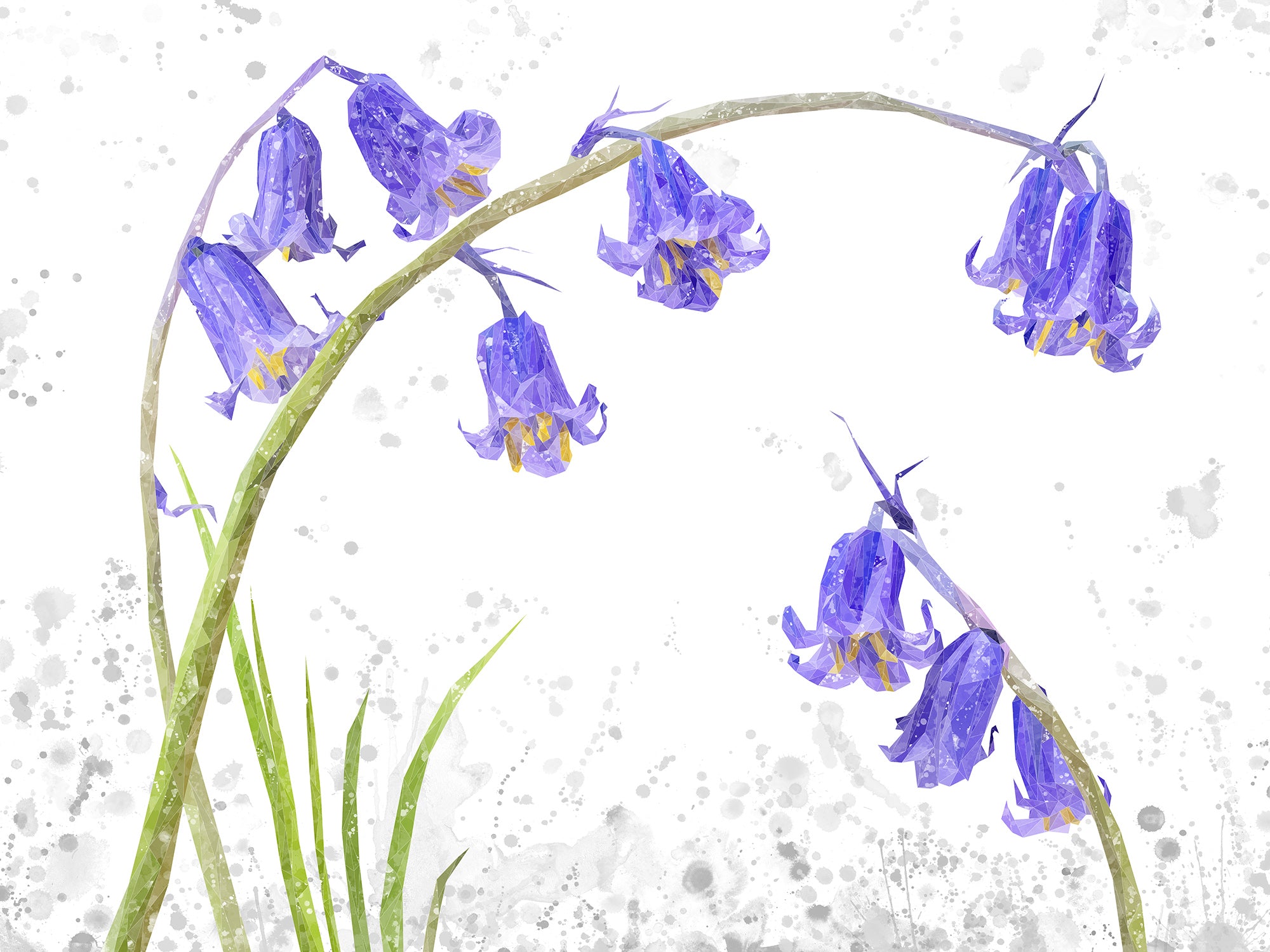 "Bluebells" Grey Background The Bluebells Canvas Print