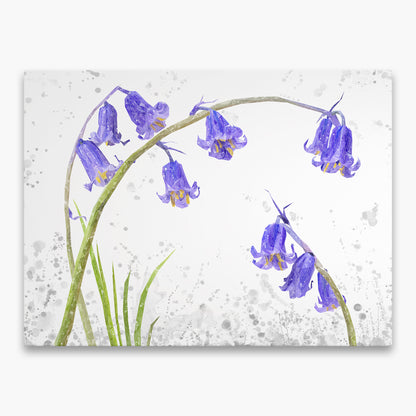 "Bluebells" Grey Background The Bluebells Canvas Print