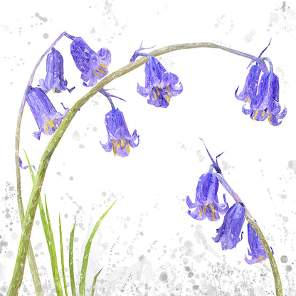 "Bluebells" Grey Background Premium Glass Coasters