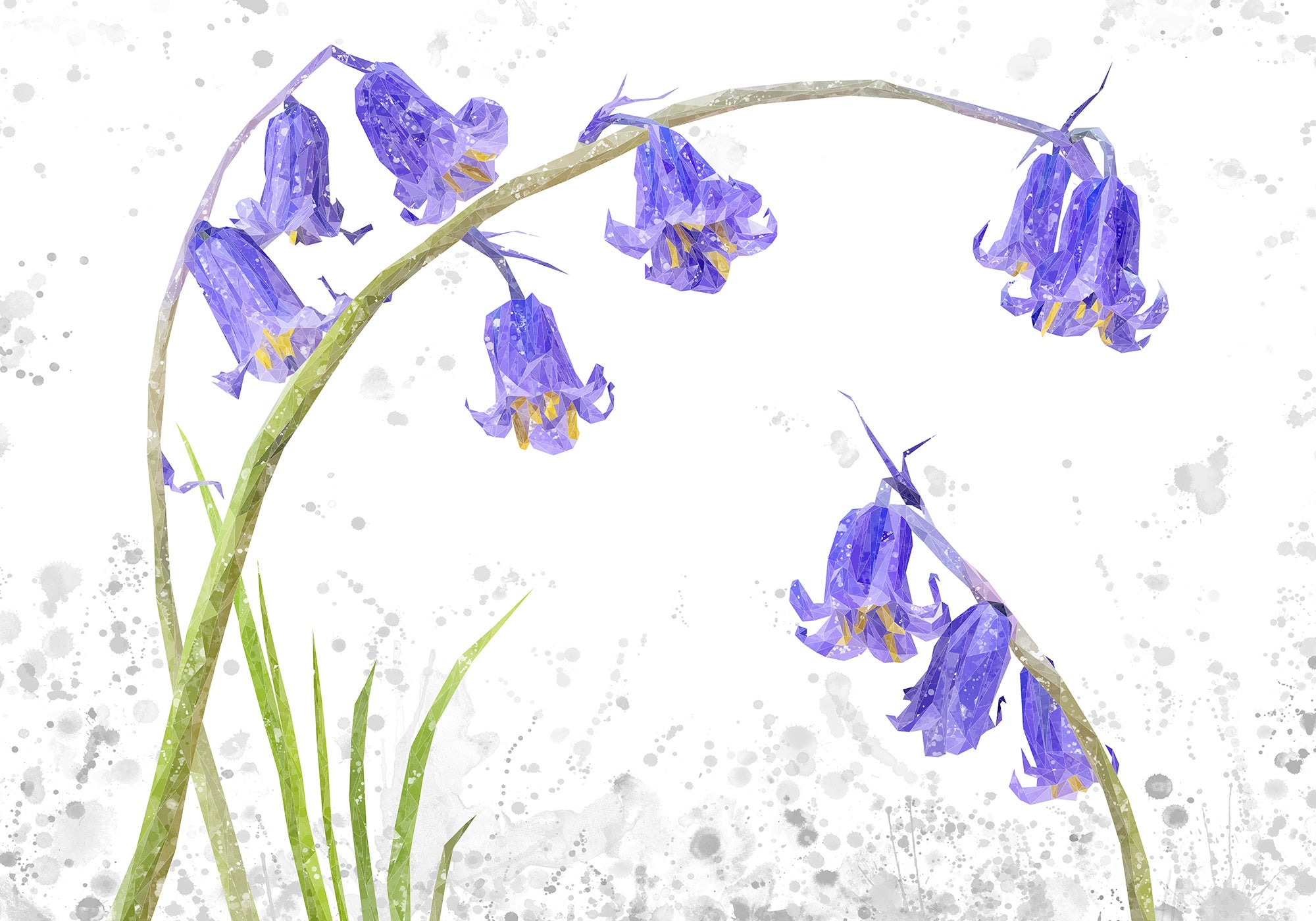 NEW! "Bluebells" Grey Background Kitchen Splashback