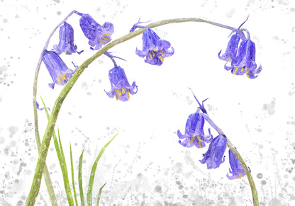 NEW! "Bluebells" Grey Background Kitchen Splashback