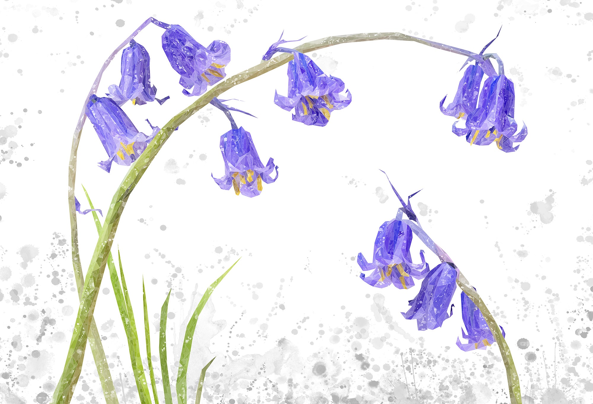 NEW! "Bluebells" Grey Background Kitchen Splashback