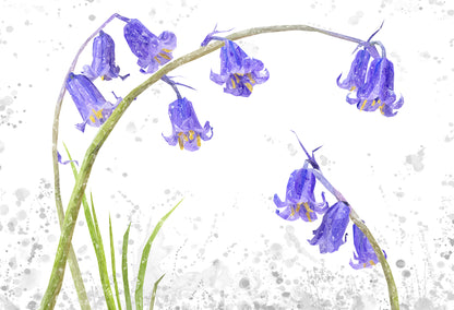 NEW! "Bluebells" Grey Background Kitchen Splashback