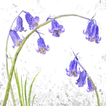 NEW! "Bluebells" Grey Background Kitchen Splashback