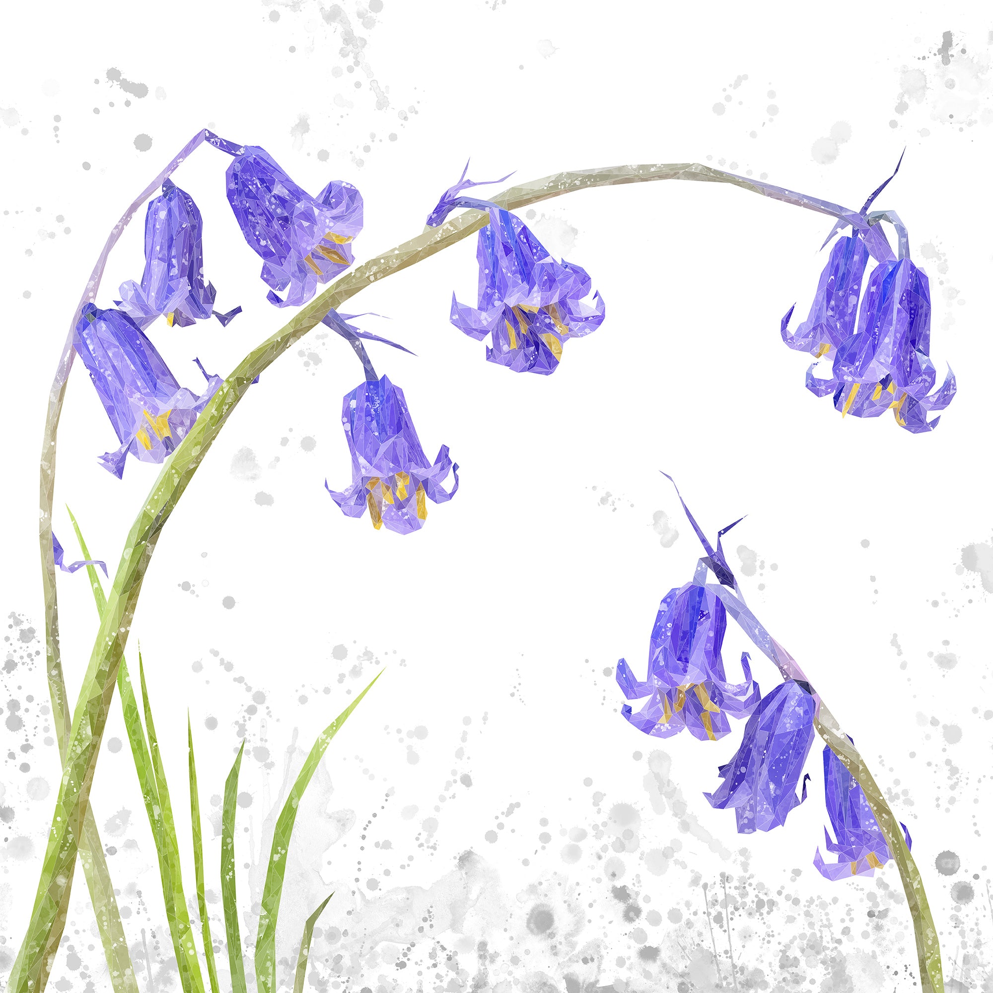 NEW! "Bluebells" Grey Background Kitchen Splashback