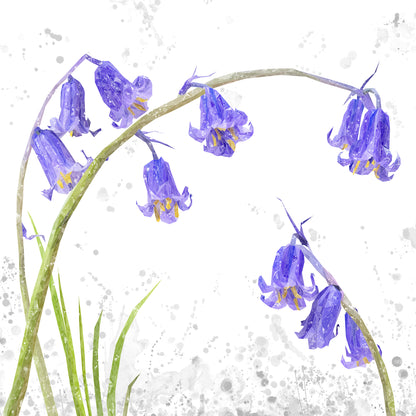 NEW! "Bluebells" Grey Background Kitchen Splashback