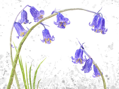 NEW! "Bluebells" Grey Background Kitchen Splashback