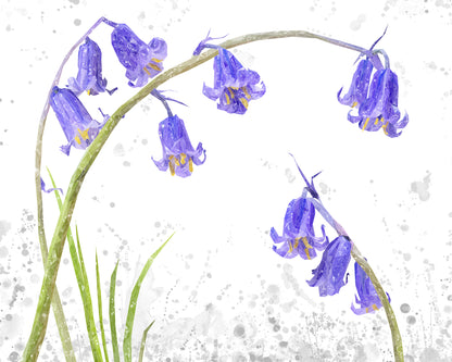 NEW! "Bluebells" Grey Background Kitchen Splashback