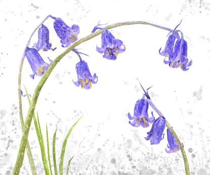 NEW! "Bluebells" Grey Background Kitchen Splashback
