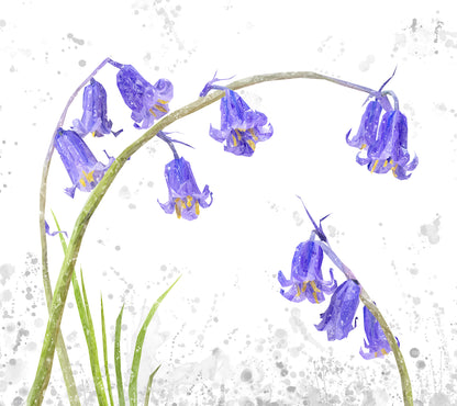 NEW! "Bluebells" Grey Background Kitchen Splashback