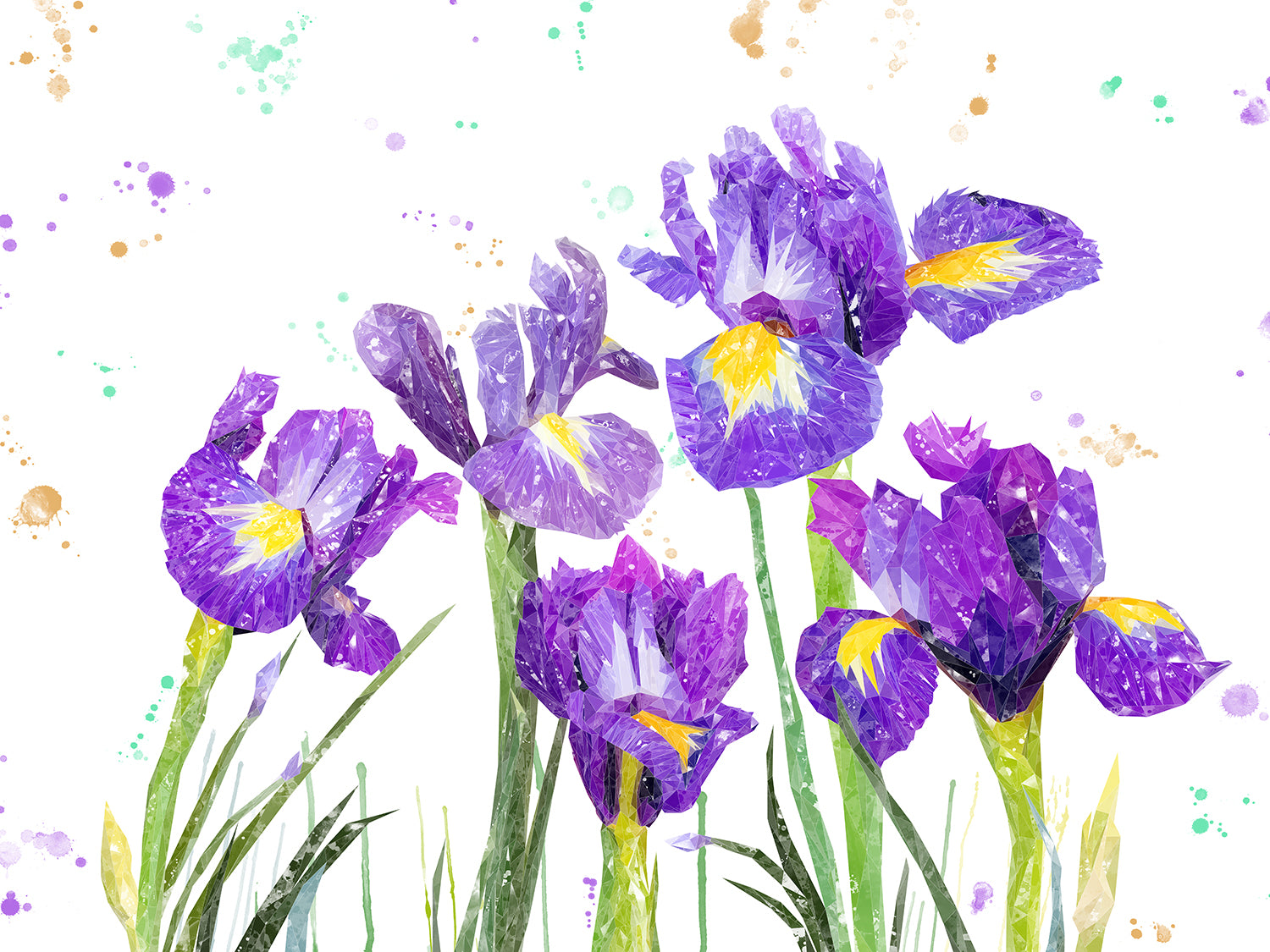 "Purple Haze" Iris Canvas Print