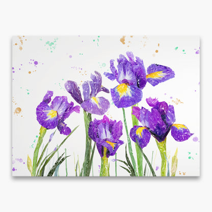 "Purple Haze" Iris Canvas Print