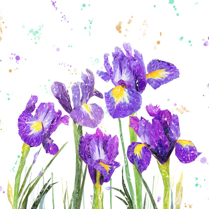 NEW! "Purple Haze" Iris Kitchen Splashback