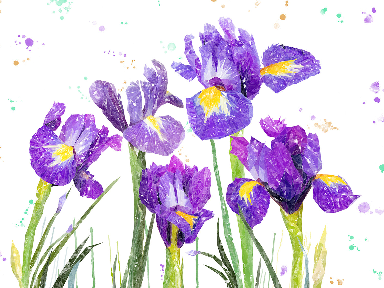 NEW! "Purple Haze" Iris Kitchen Splashback