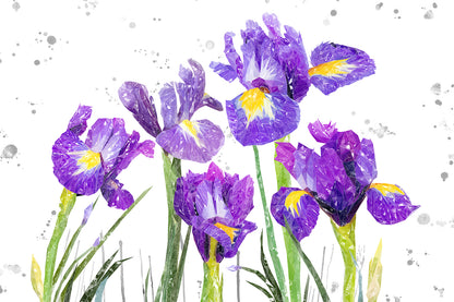 NEW! "Purple Haze" Iris Grey Background Glass Wall Art