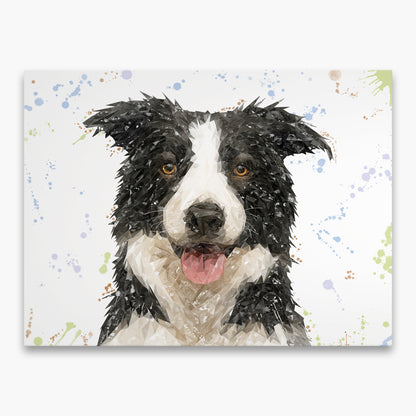 NEW! "Shep" Border Collie Canvas Print
