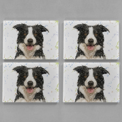 NEW! "Shep" Border Collie Premium Glass Placemat