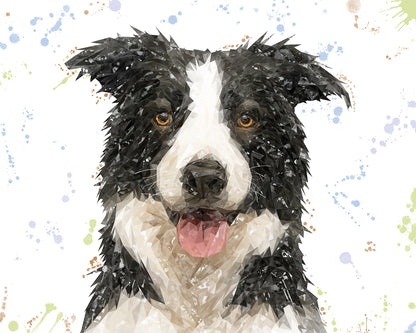 NEW! "Shep" Border Collie Kitchen Splashback