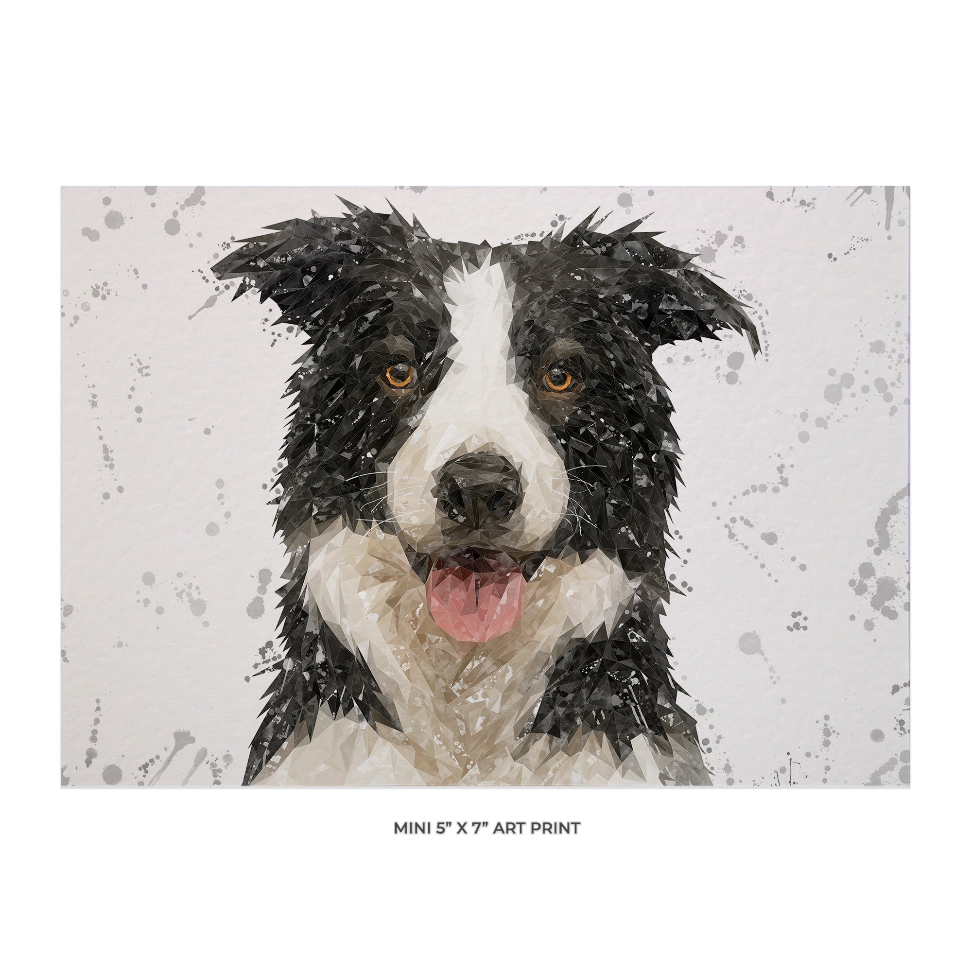 NEW! "Shep" Border Collie (Grey Background) 5x7 Mini Print