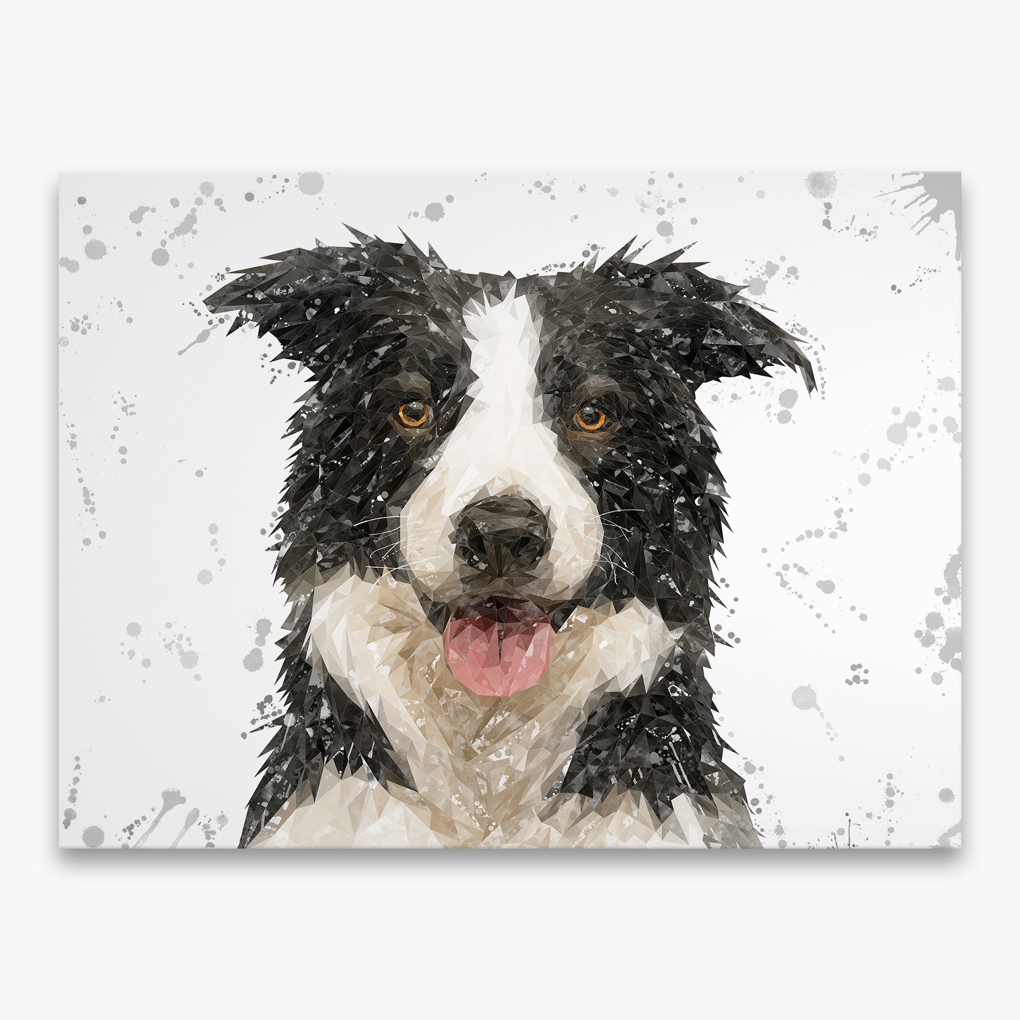 NEW! "Shep" Border Collie Grey Background Canvas Print
