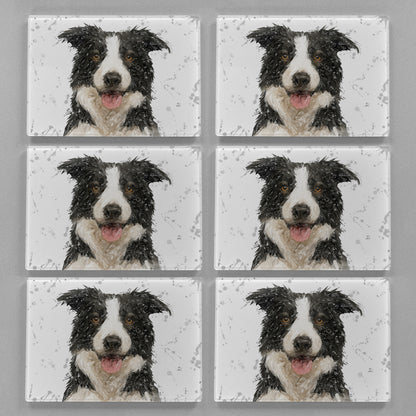 NEW! "Shep" Border Collie (grey Background) Premium Glass Placemat
