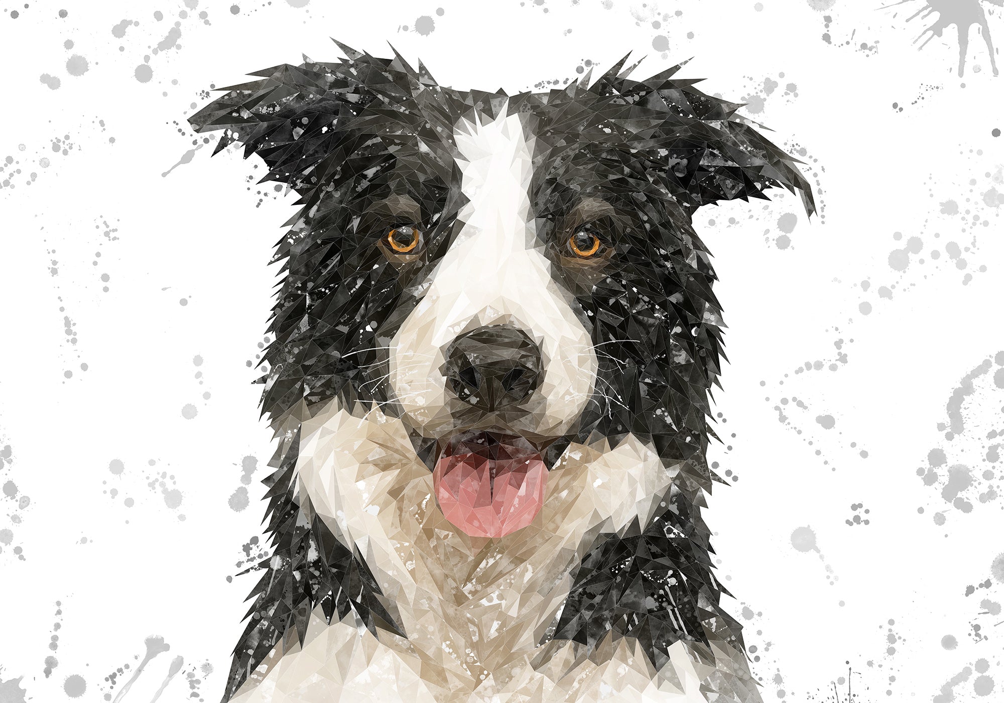 NEW! "Shep" Border Collie Grey Background Kitchen Splashback