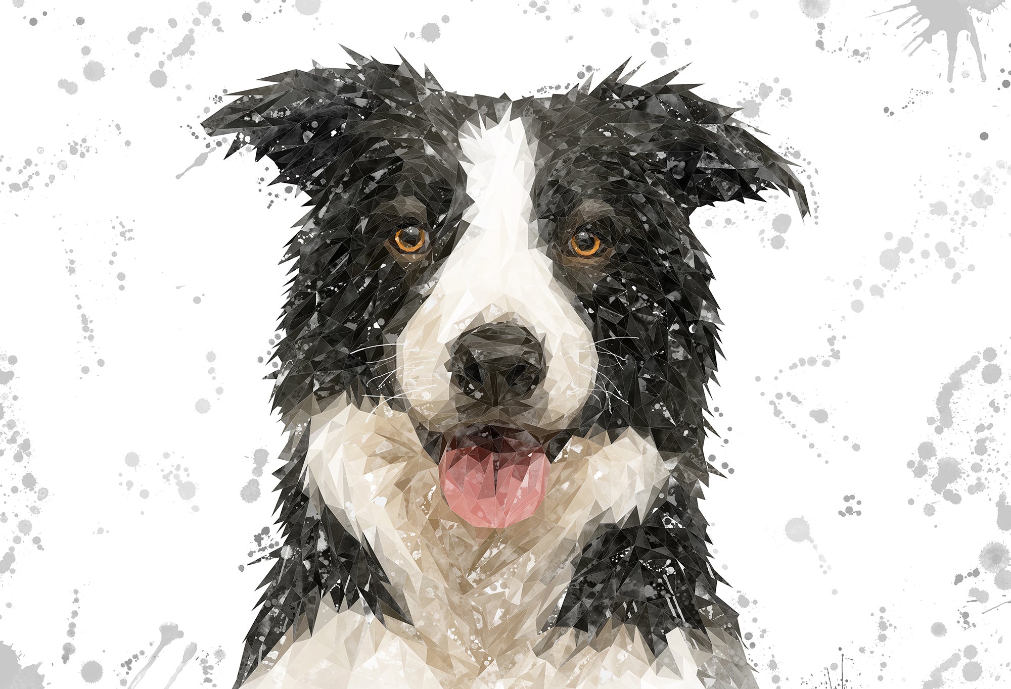 NEW! "Shep" Border Collie Grey Background Kitchen Splashback