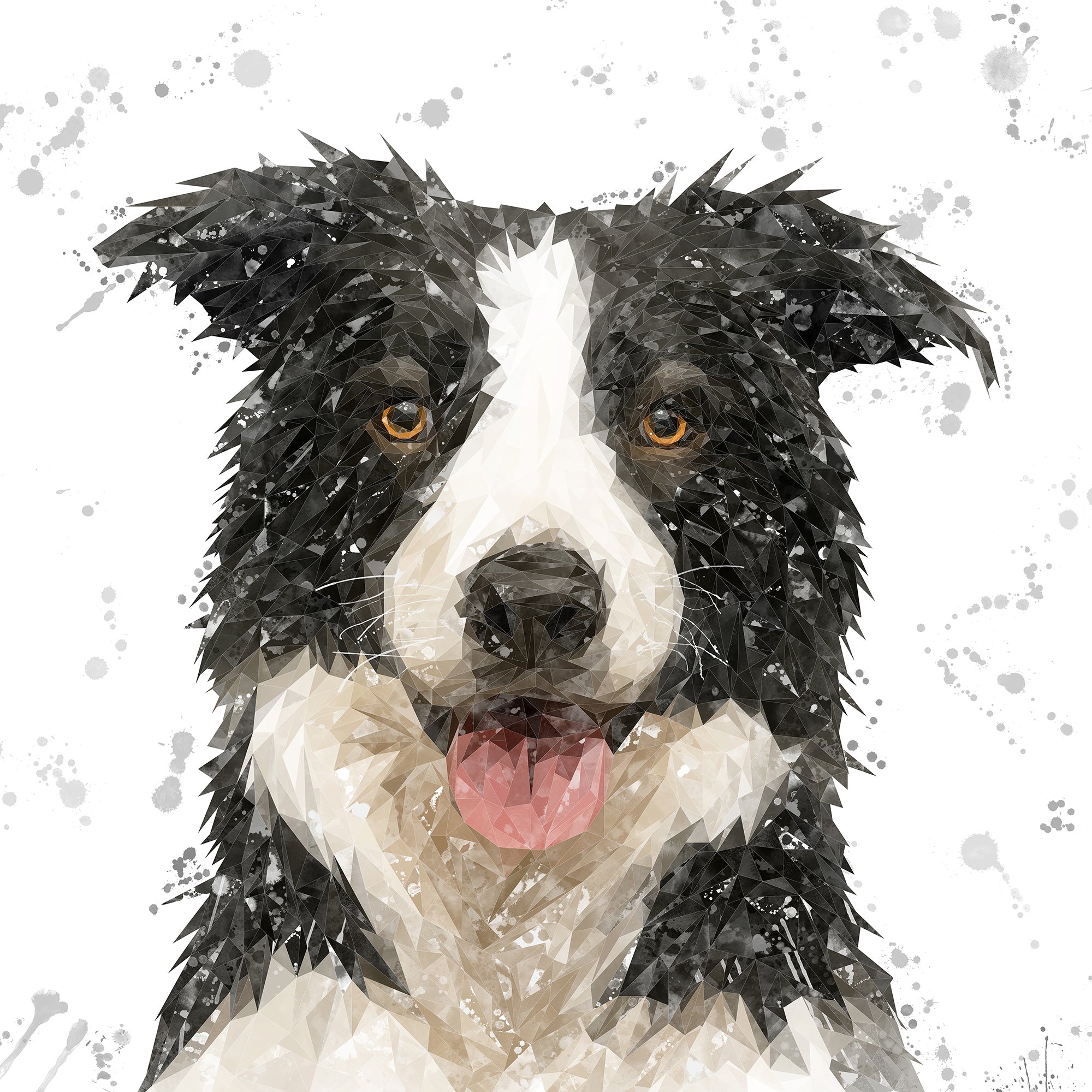 NEW! "Shep" Border Collie Grey Background Kitchen Splashback