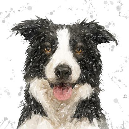 NEW! "Shep" Border Collie Grey Background Kitchen Splashback