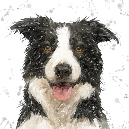 NEW! "Shep" Border Collie Grey Background Kitchen Splashback