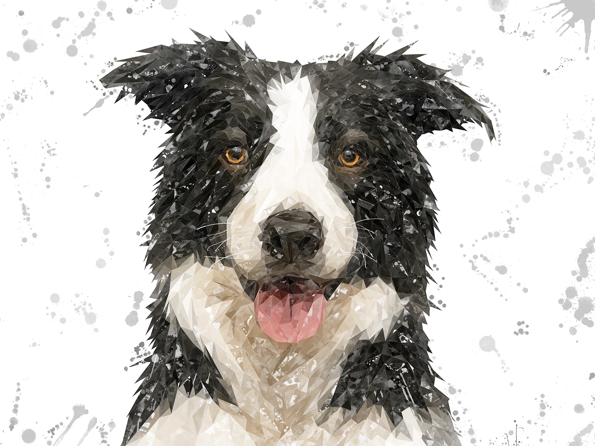 NEW! "Shep" Border Collie Grey Background Kitchen Splashback
