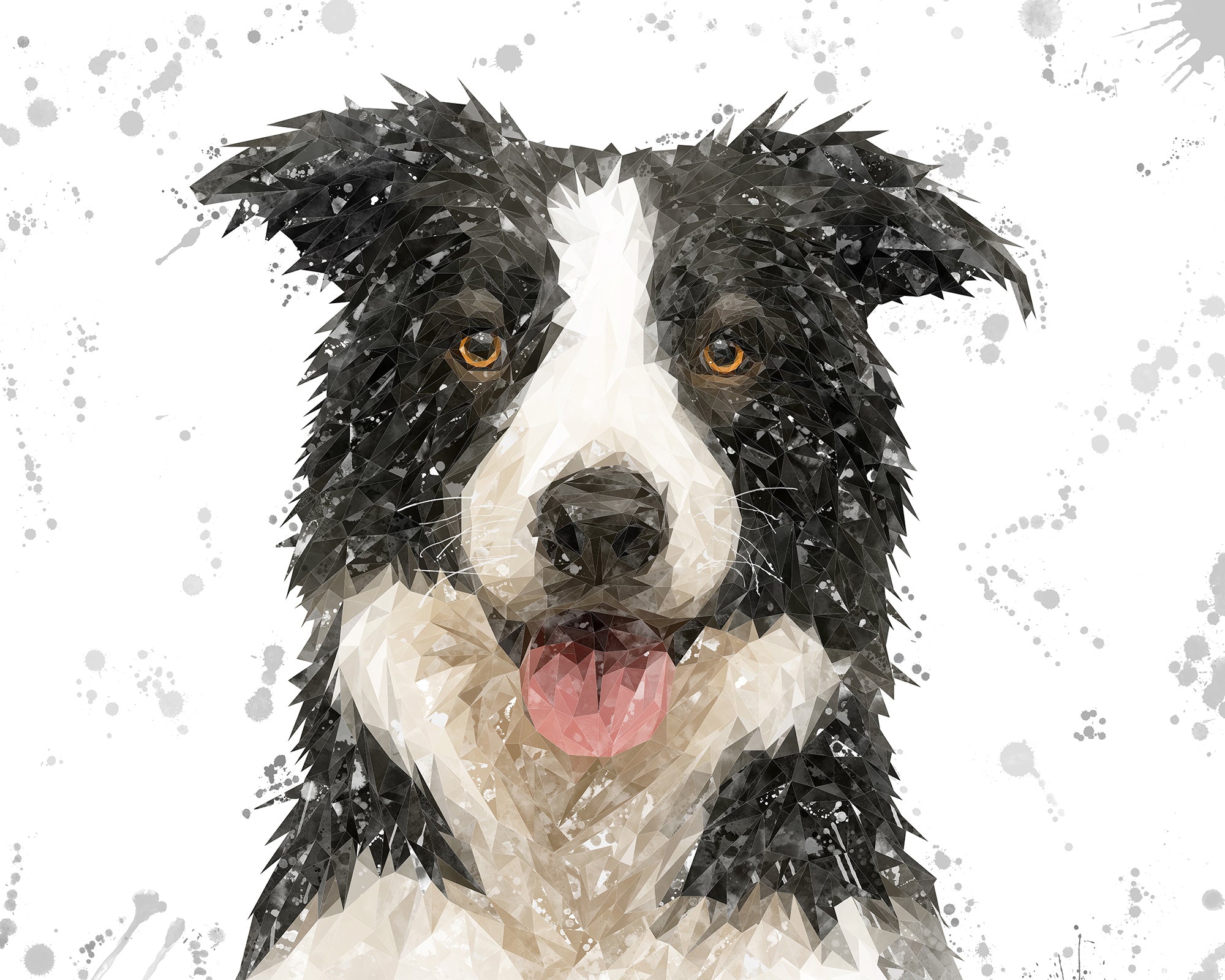 NEW! "Shep" Border Collie Grey Background Kitchen Splashback