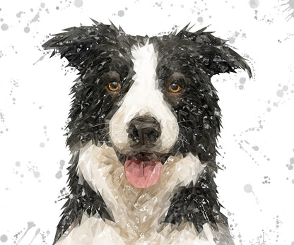 NEW! "Shep" Border Collie Grey Background Kitchen Splashback
