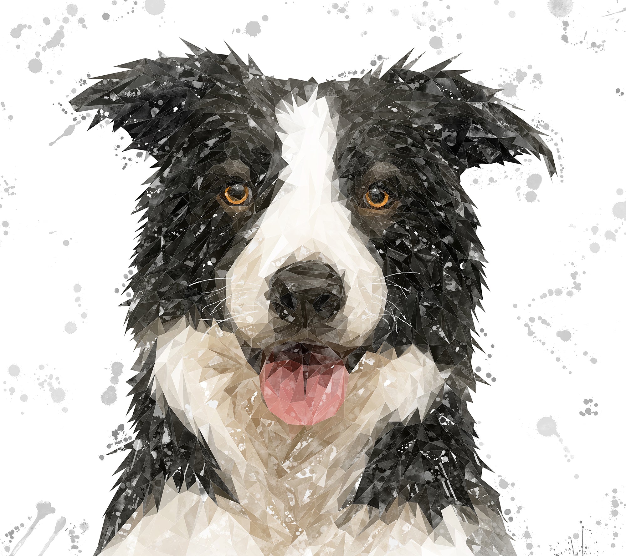 NEW! "Shep" Border Collie Grey Background Kitchen Splashback