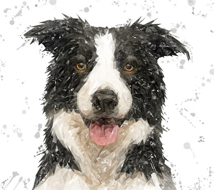 NEW! "Shep" Border Collie Grey Background Kitchen Splashback